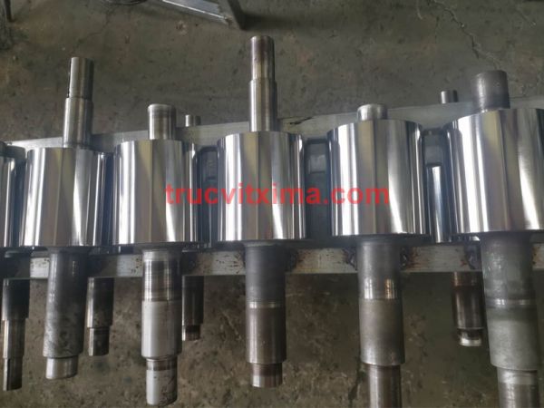 Trục vít xi mạ 06